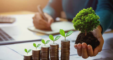 Toolkit: how your business can take action and seize net zero opportunities
