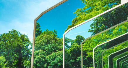 Five ways to shift your organisation’s culture to embed sustainability 